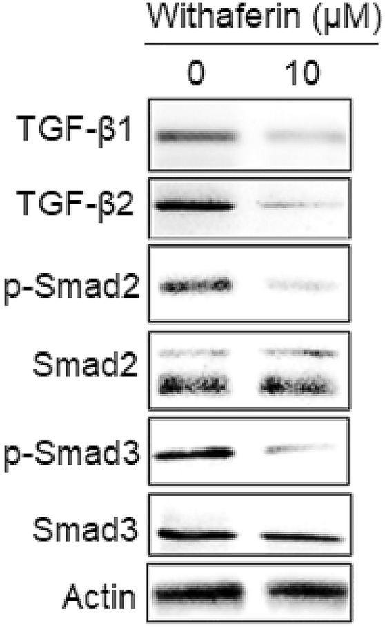 Fig. 5