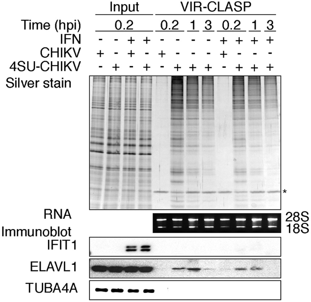 Fig. 2: