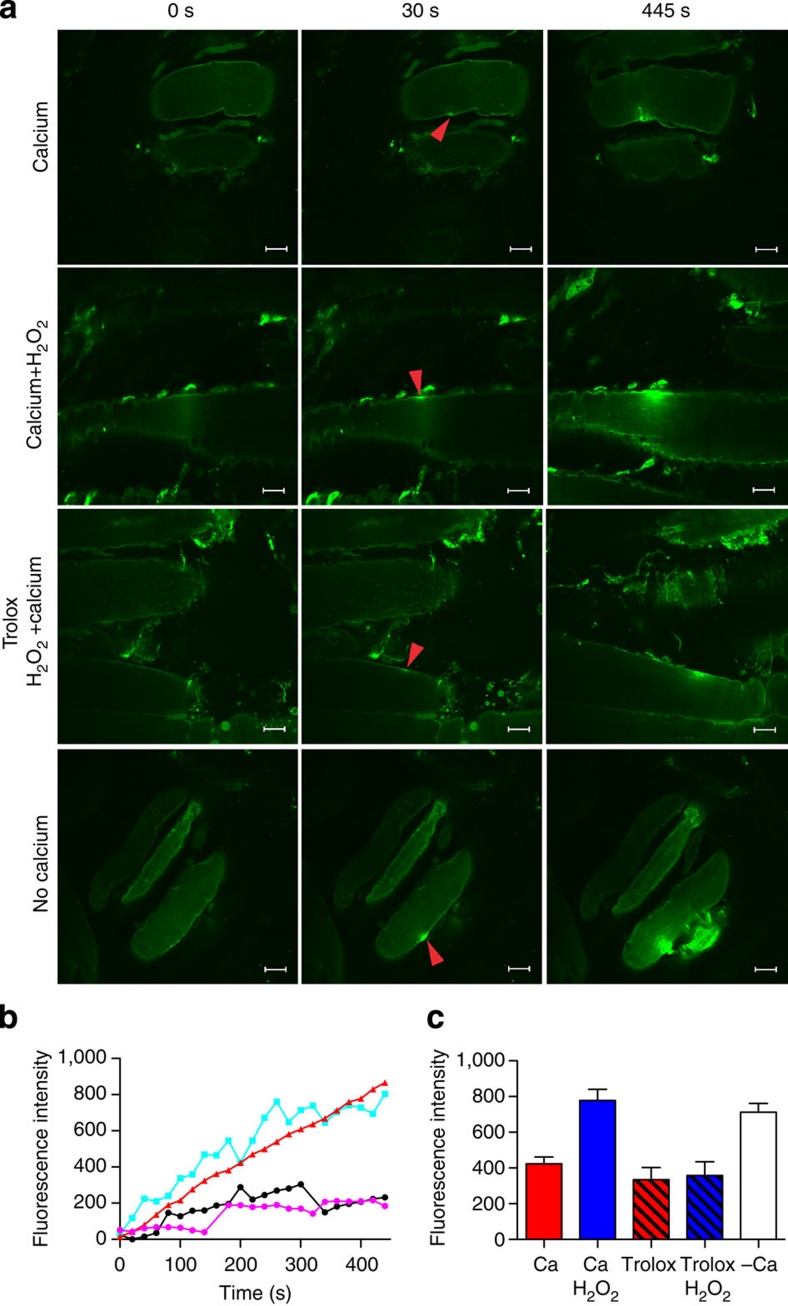 Figure 6