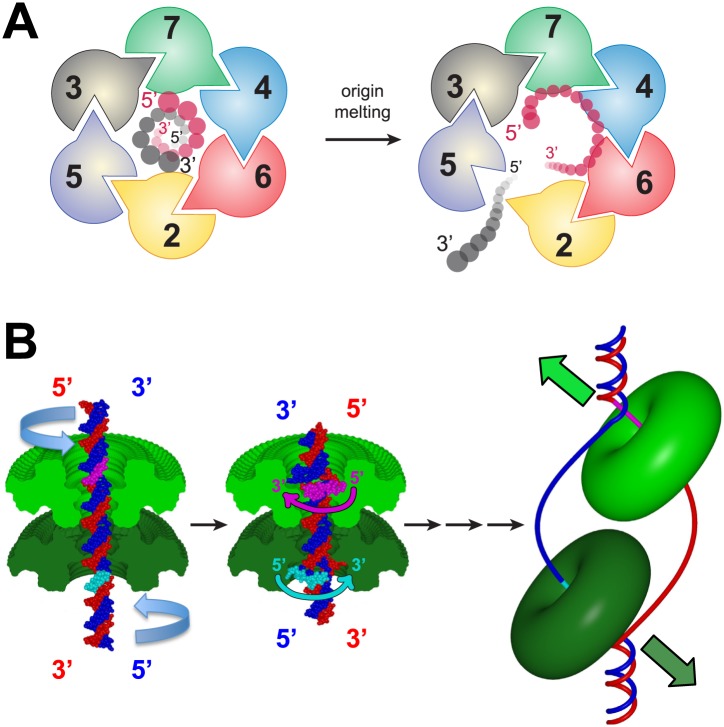 Figure 7.