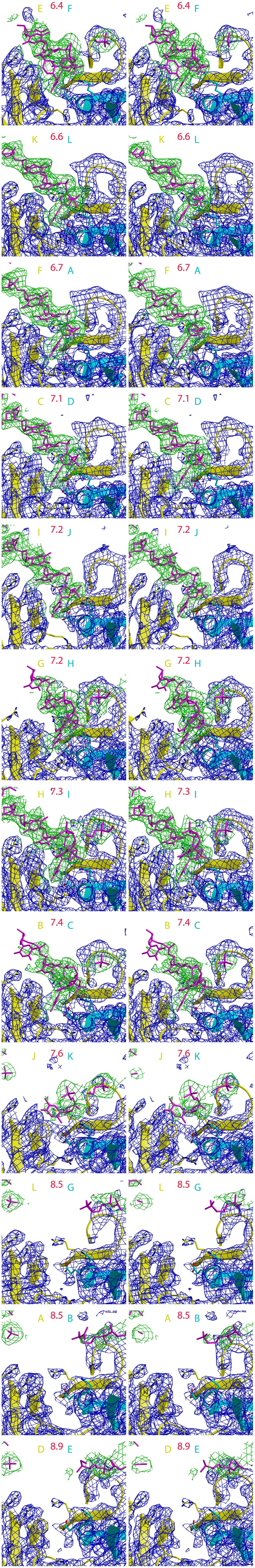 Figure 2—figure supplement 1.