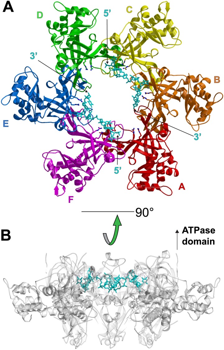 Figure 1.