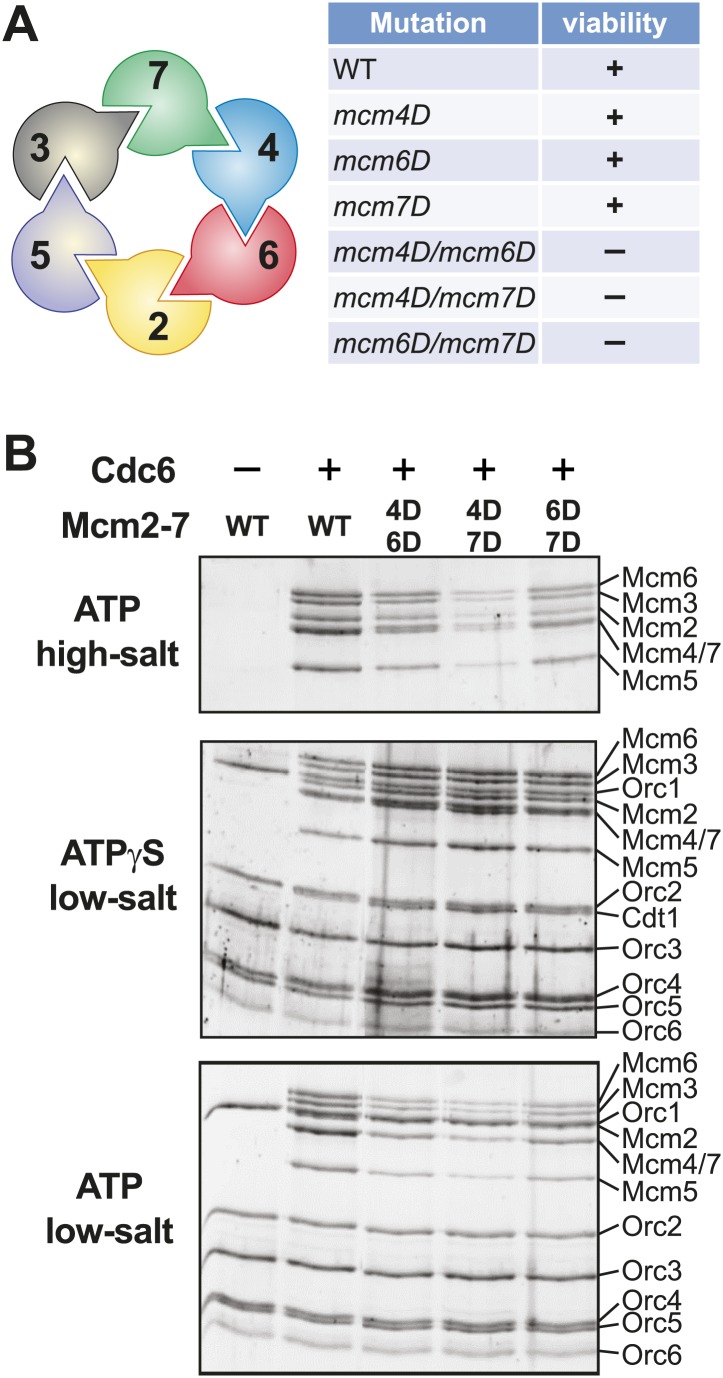 Figure 5.