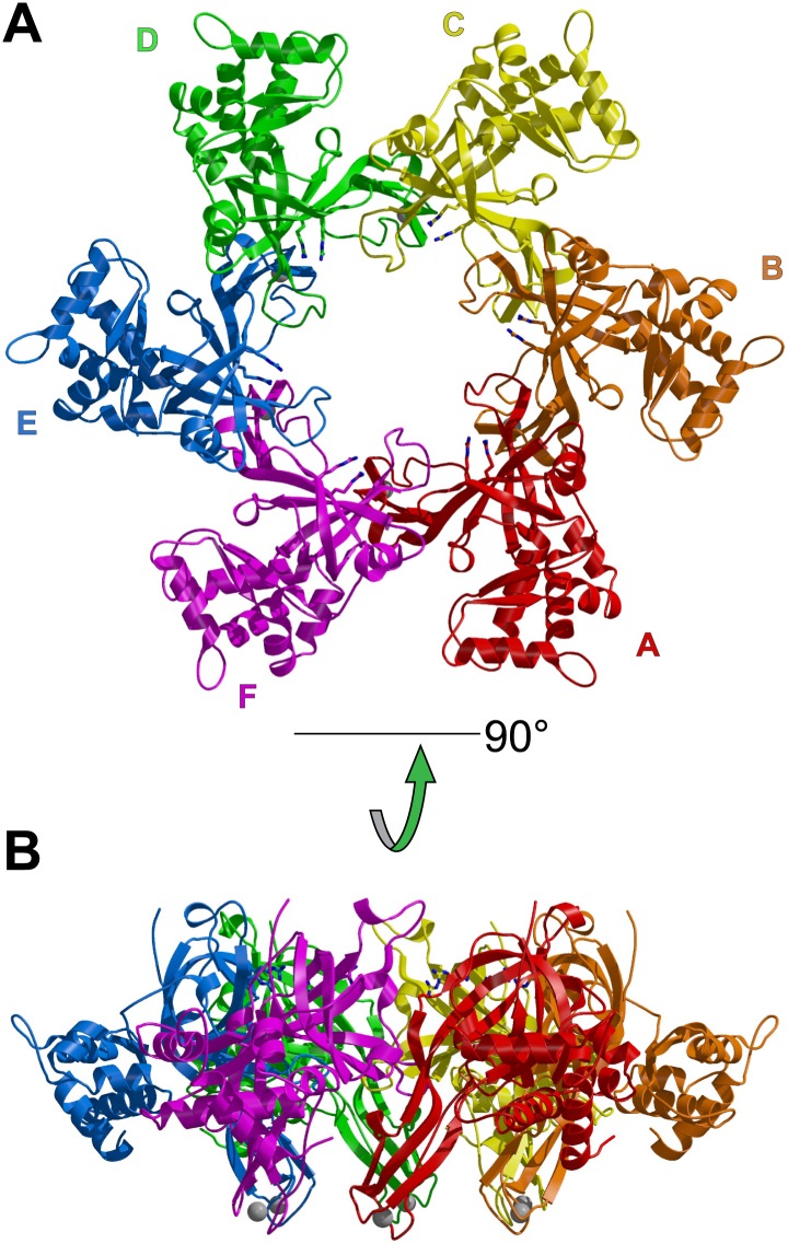 Figure 1—figure supplement 4.