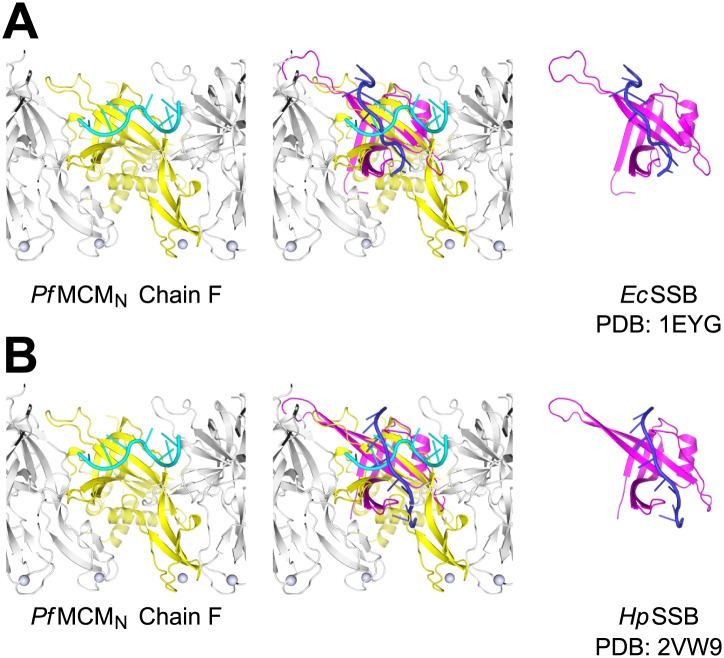 Figure 1—figure supplement 7.