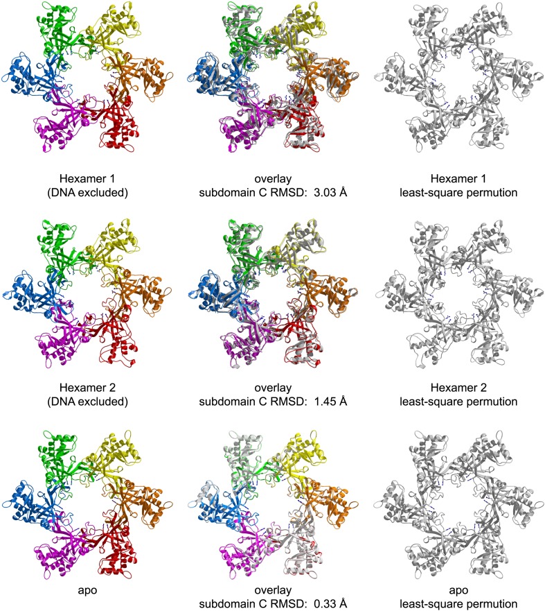 Figure 1—figure supplement 6.