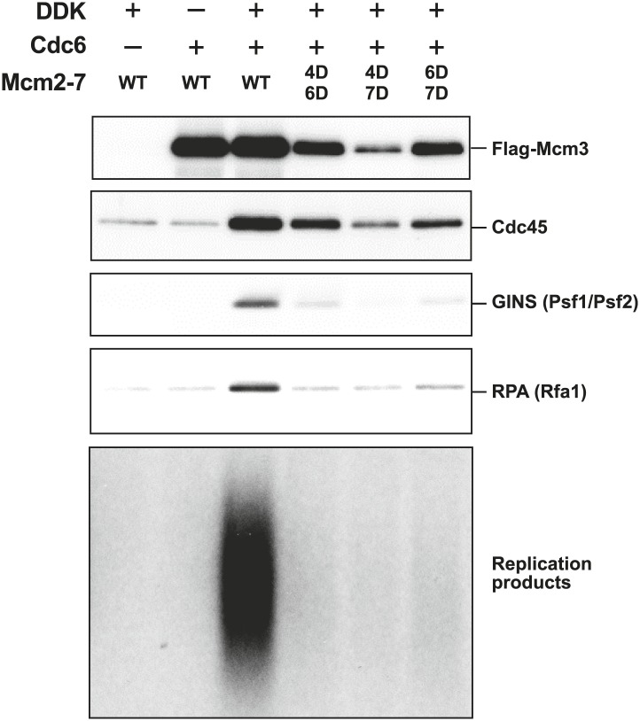 Figure 6.