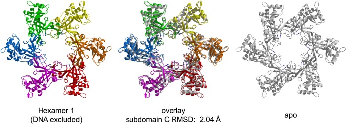 Figure 1—figure supplement 5.