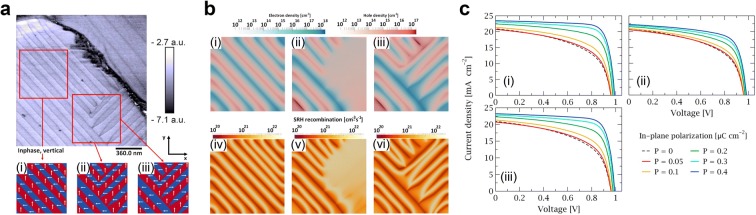 Fig. 10