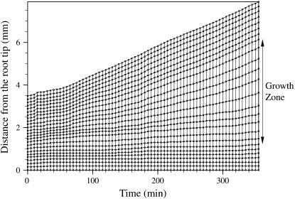 Figure 7.