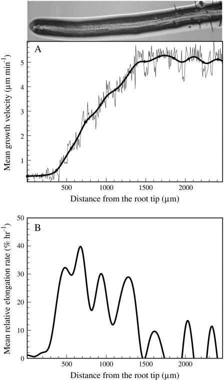 Figure 9.