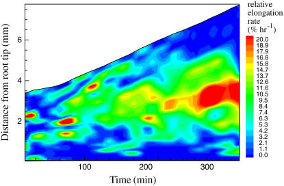 Figure 10.