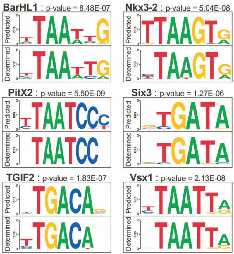 Figure 7