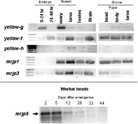 Figure 4.