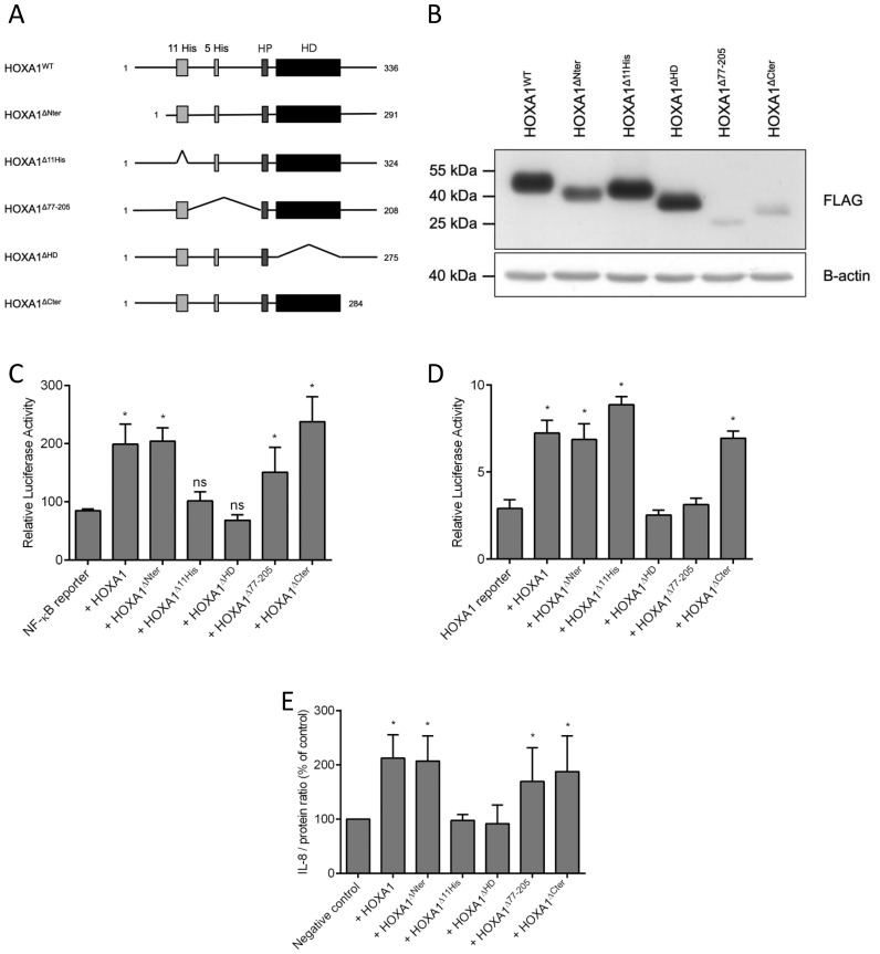 Figure 6.