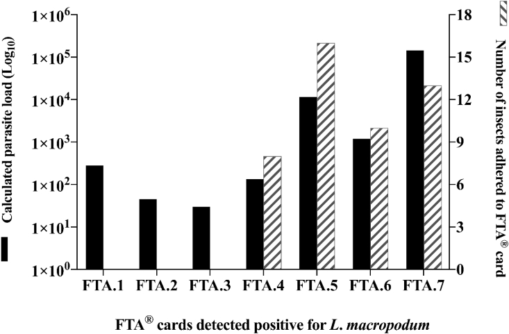 Fig. 4