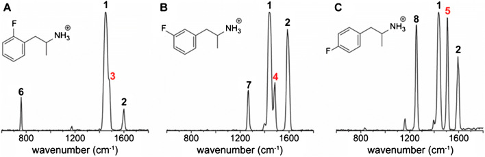 Fig. 8