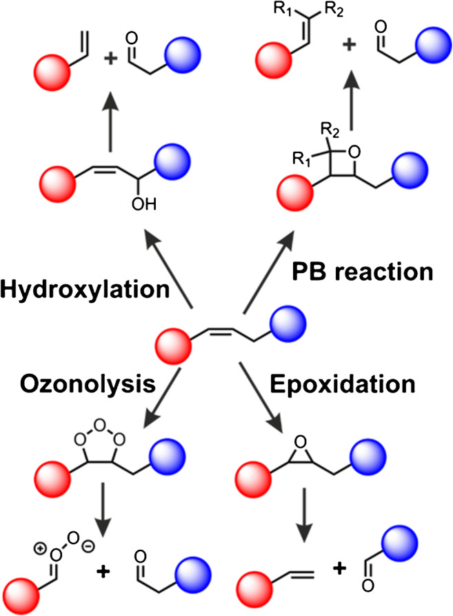 Scheme 2