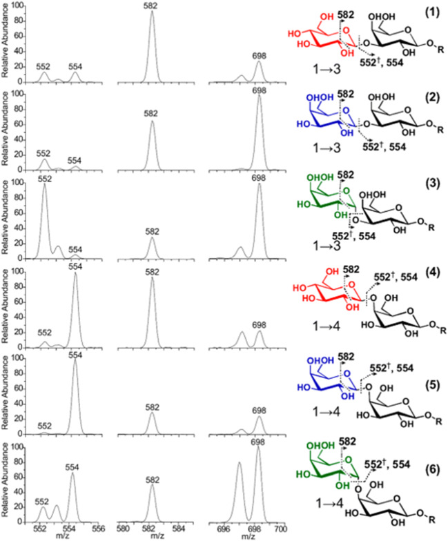 Fig. 4