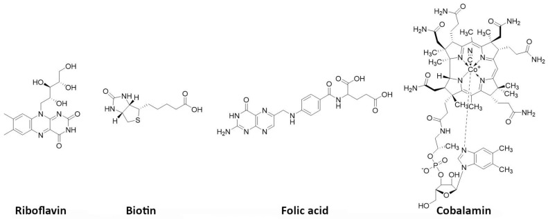 Figure 9