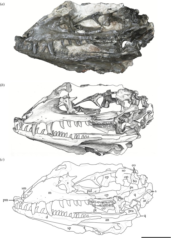 Figure 1.