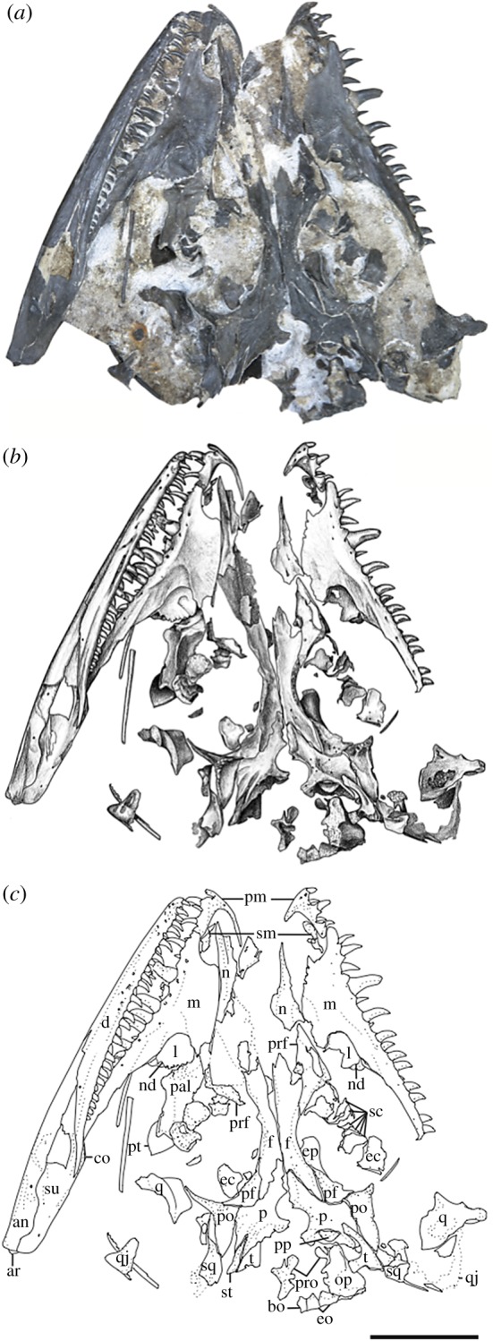 Figure 5.