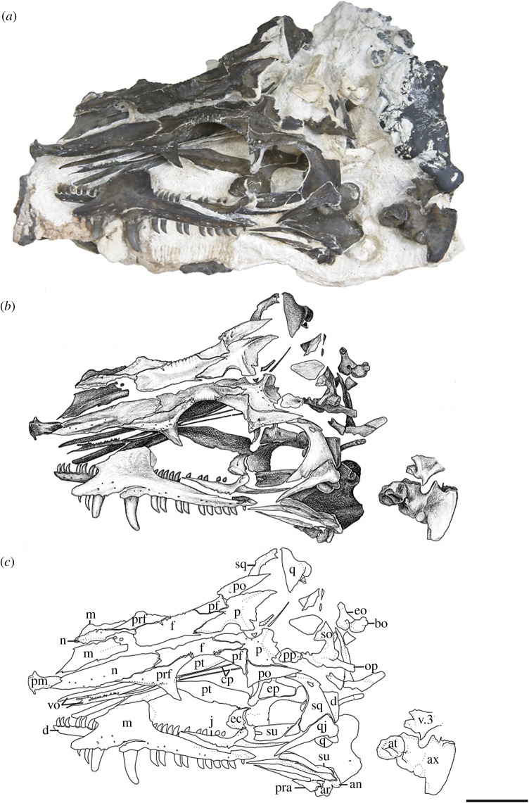 Figure 4.