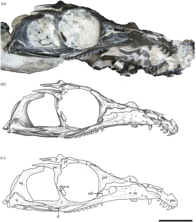 Figure 3.