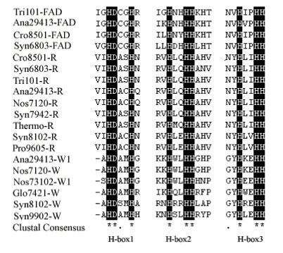 Fig 5