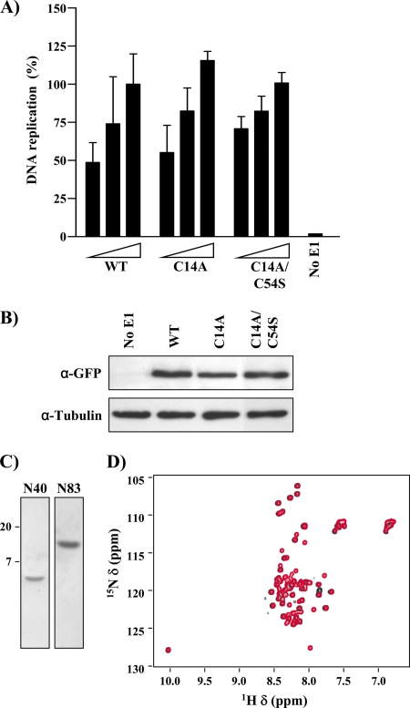 Fig 10