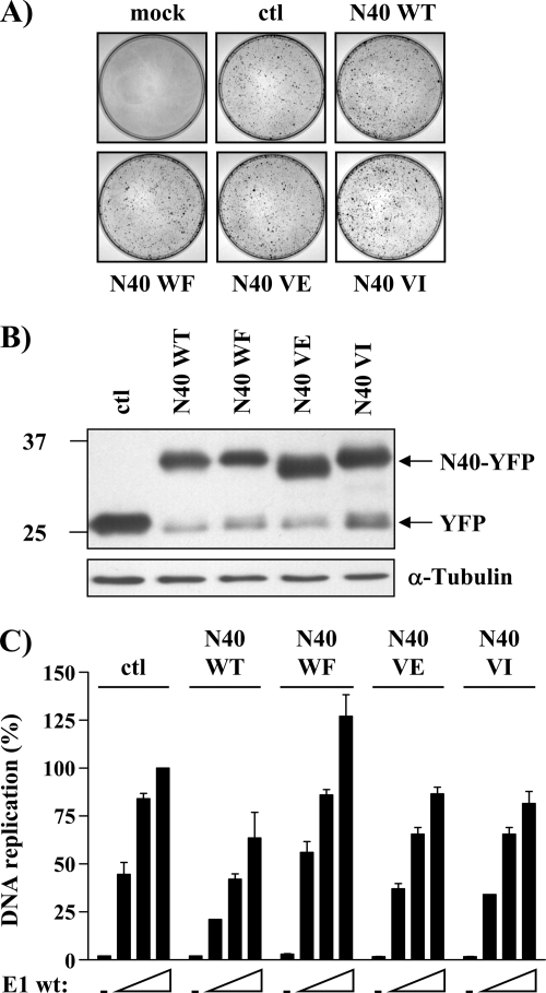 Fig 9