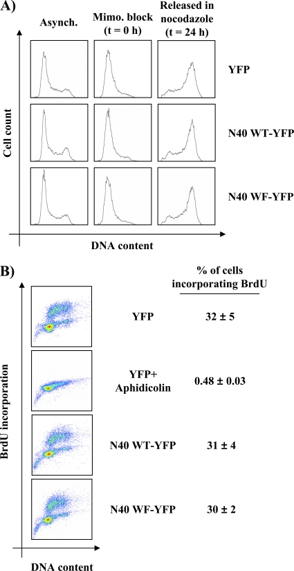 Fig 8