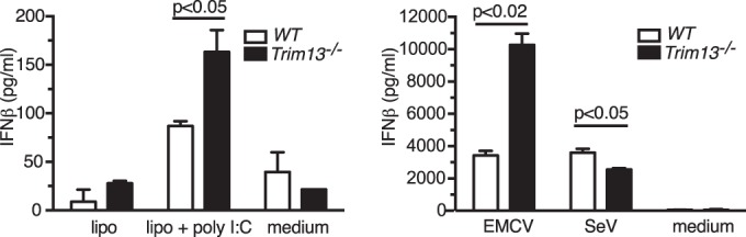 FIG 6