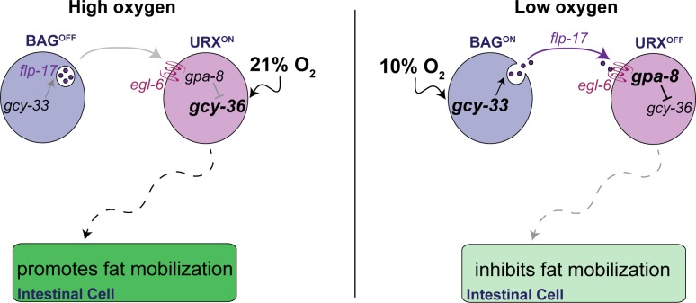 Fig 8