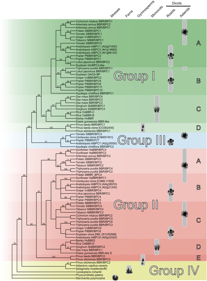 FIGURE 1