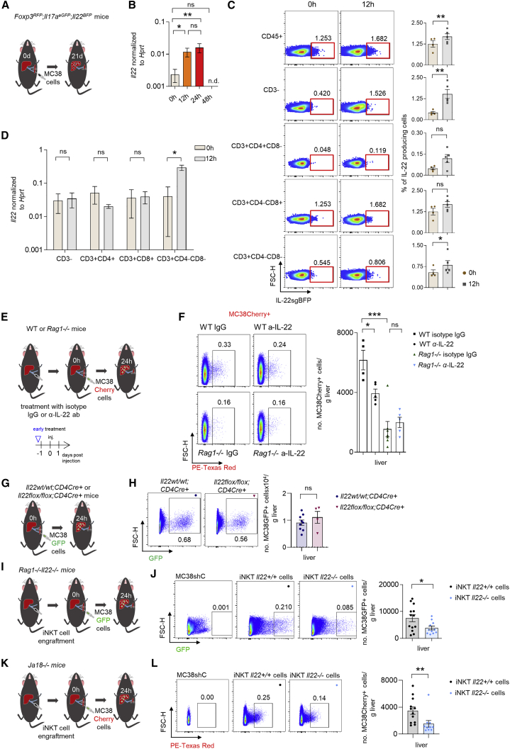 Figure 6