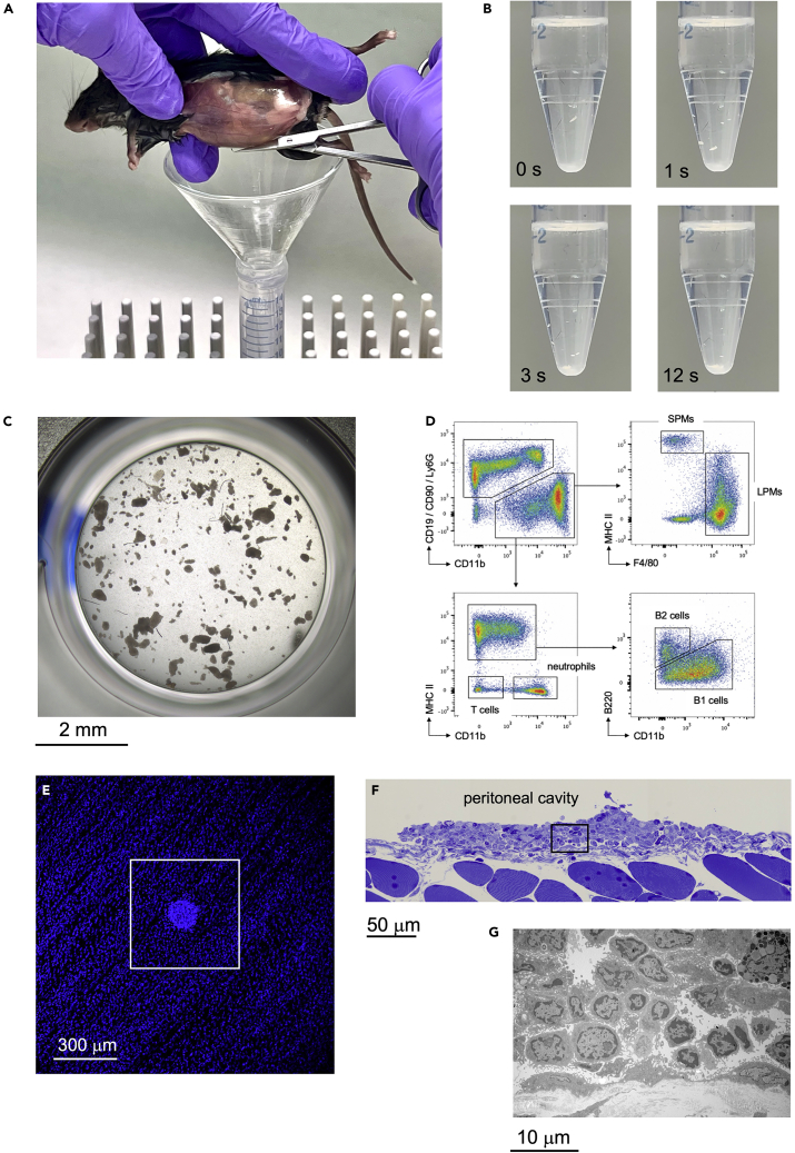 Figure 3