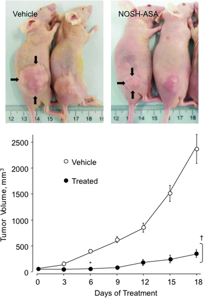 FIG. 13.