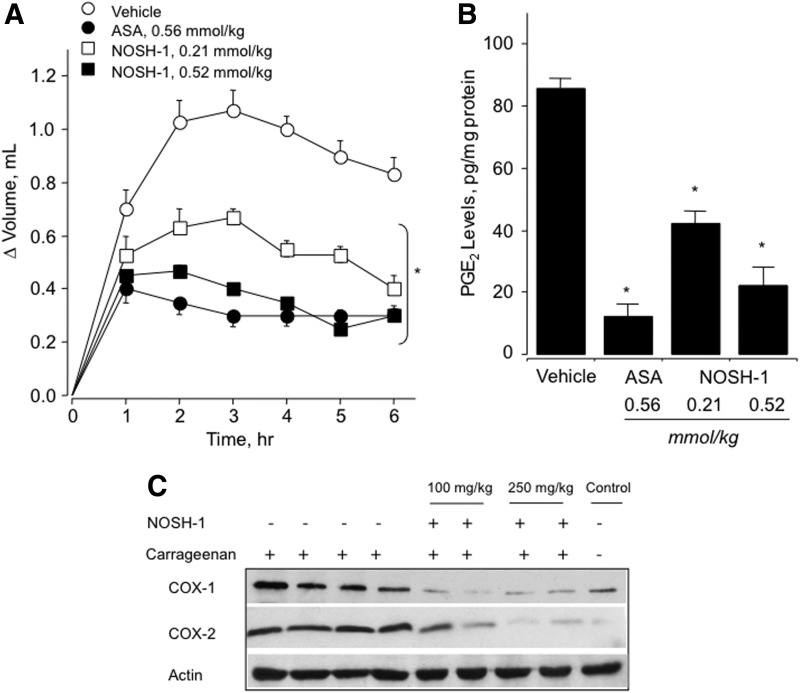 FIG. 12.