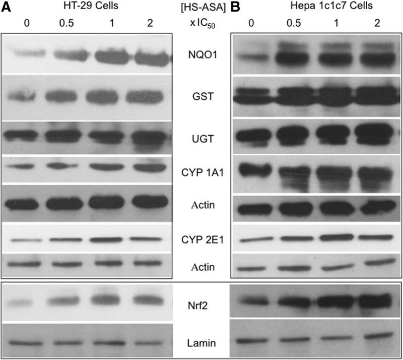 FIG. 7.