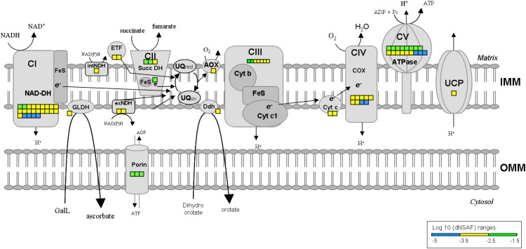 Figure 7.