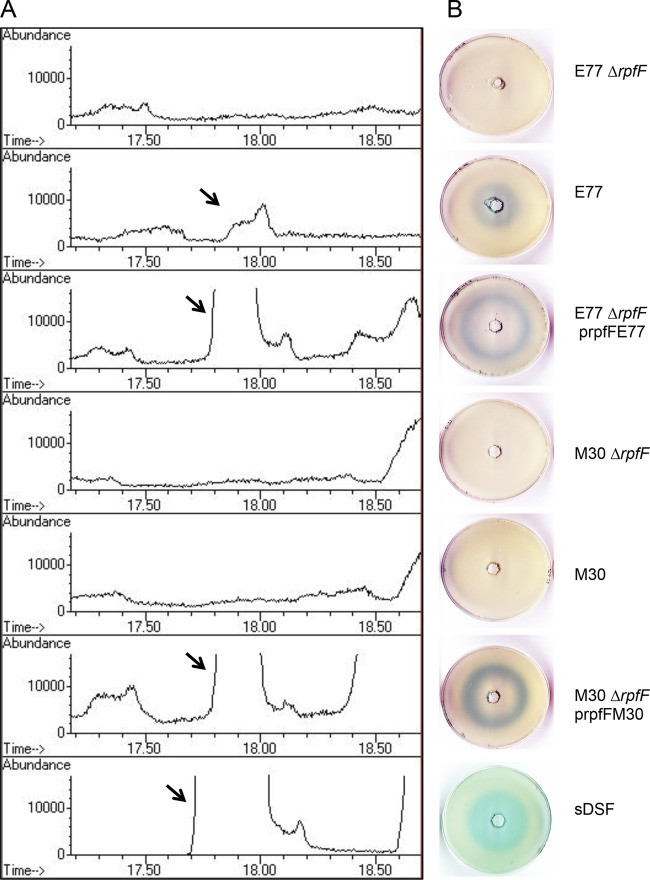 FIG 4