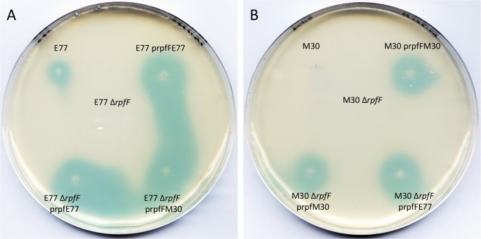 FIG 3