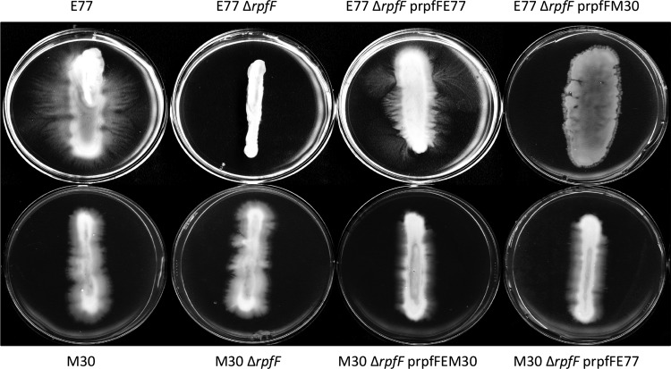 FIG 6