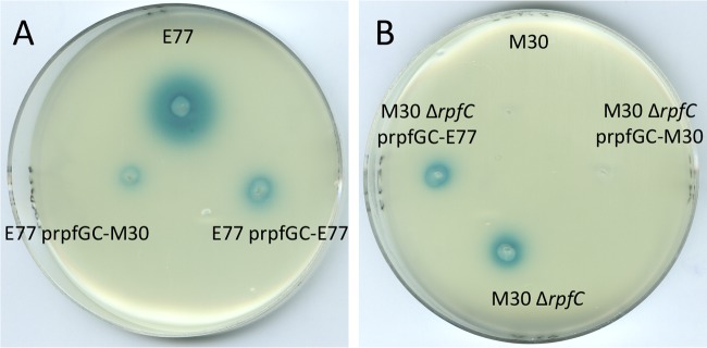 FIG 5