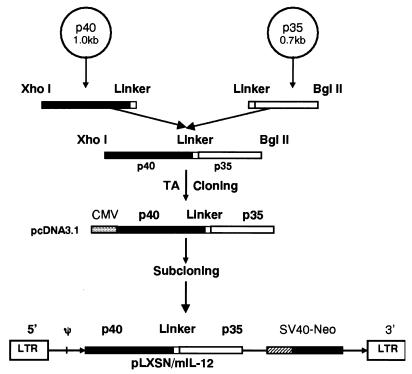 FIG. 1