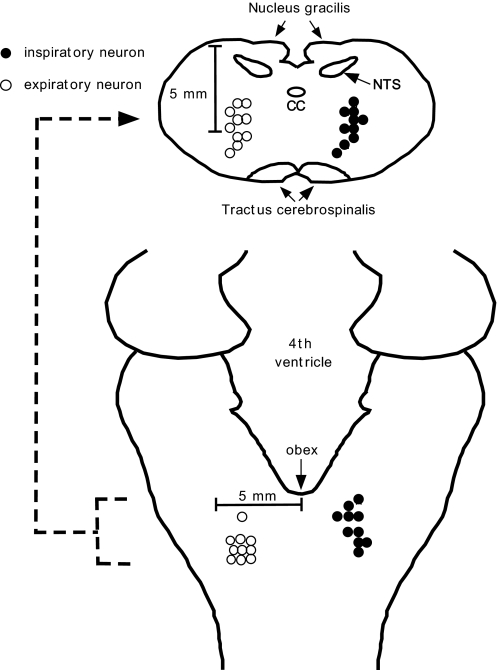 FIG. 5.