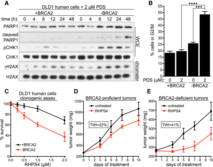 Figure 6