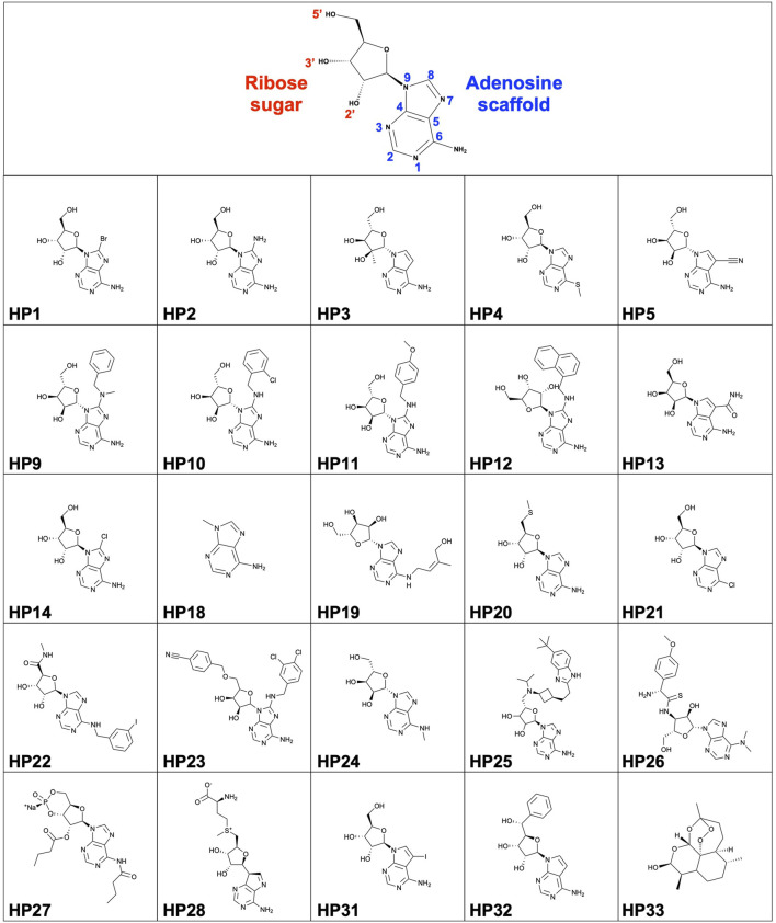 FIGURE 1