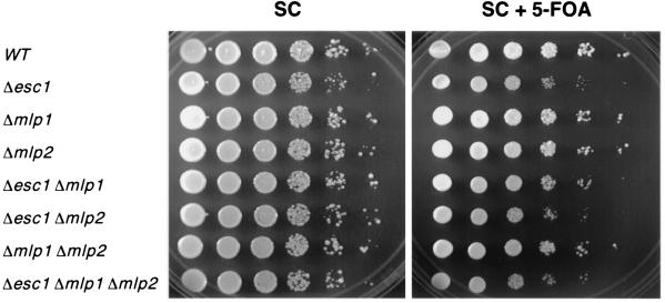 FIG. 8.